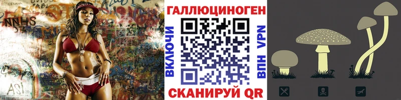 как найти закладки  Краснослободск  Галлюциногенные грибы MAGIC MUSHROOMS 